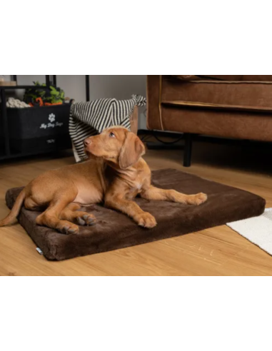 VitaMedog - Bruin - 50x35/5cm