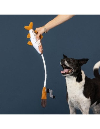 Wagsdale On The Line Rope Dog Toy