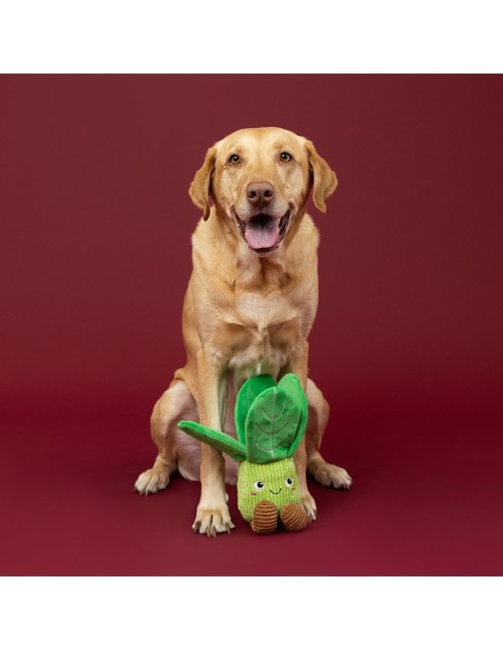 I'll Be Bok Plush Dog Toy