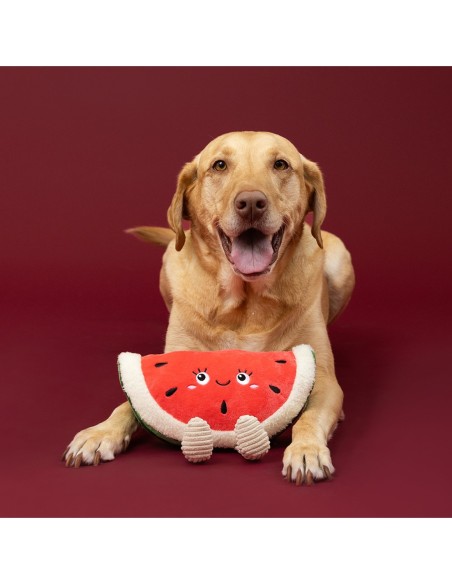 Seed The Day Plush Dog Toy