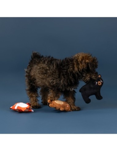 Wagsdale Lake Cruisers 3pc Mini Dog Toy Set