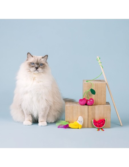 The Sweetest Bunch 3pc Cat Toy Set