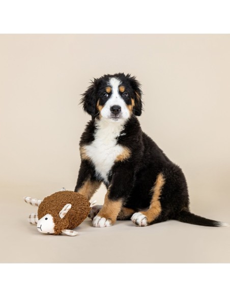 Lammy Textured Patchwork Dog Toy