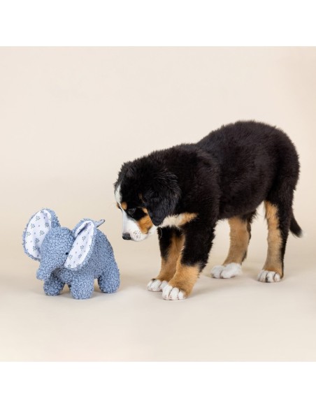 Ellie Textured Patchwork Dog Toy