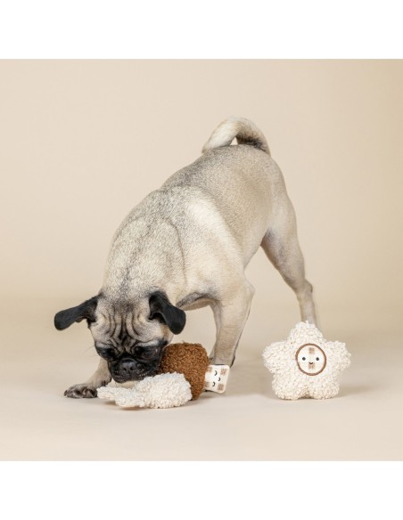 Meadow Blooms 3pc Textured Patchwork Mini Dog Toy Set