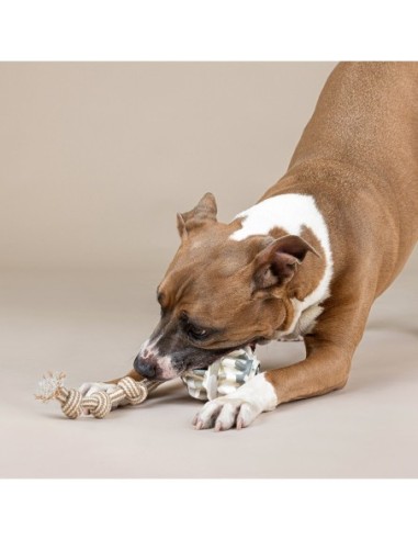Shape-Shifter Rubber Dog Toy