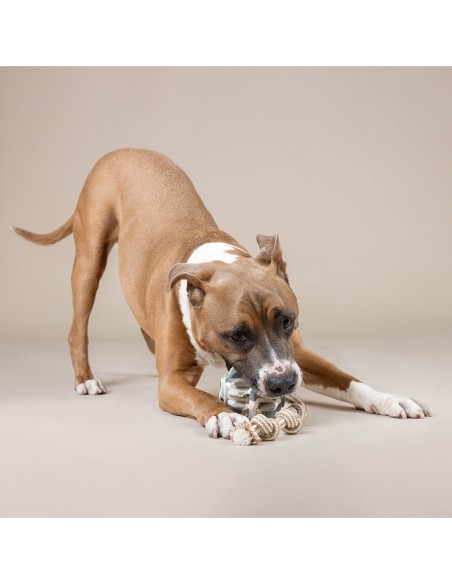 Shape-Shifter Rubber Dog Toy