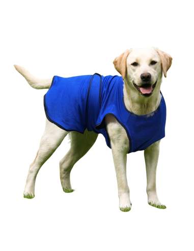 Dog Cool Coat Size - L