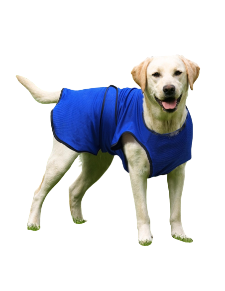 Dog Cool Coat Size - L
