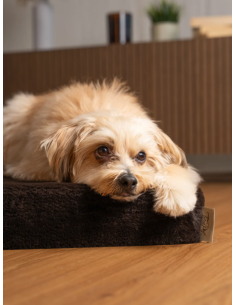 VitaMedog - Marron - 90x65/7cm 2