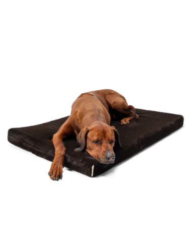 VitaMedog - Bruin - 90x65/7cm
