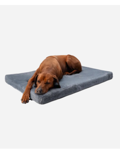 VitaMedog - Grijs - 90x65/7cm