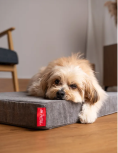 VitaMedog 95° - Grey - 50x35/7cm 2