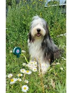 Honden Grondpen 2