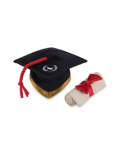 PLAY Back To School - Graduation Hat
