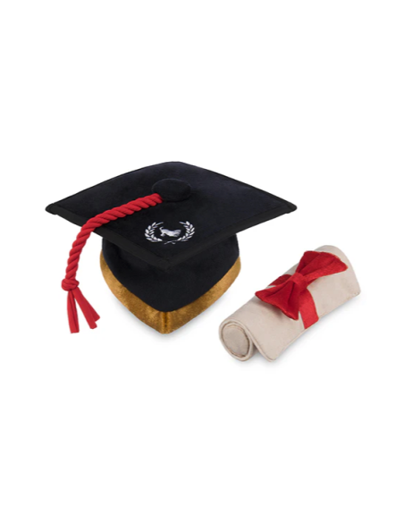 PLAY Back To School - Graduation Hat