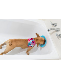 Lickimat - Splash - 19cm 2