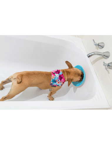 Lickimat - Splash - 19cm