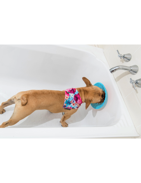 Lickimat - Splash - 19cm