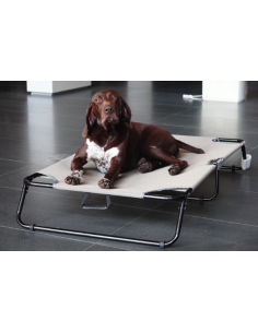 Petique Elevated Pet Bed - XL