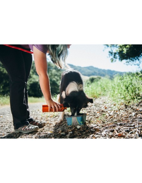 Bowl - Graphite : Color - Red