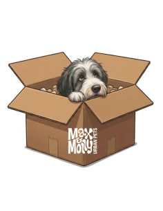 Max & Molly Mystery Box
