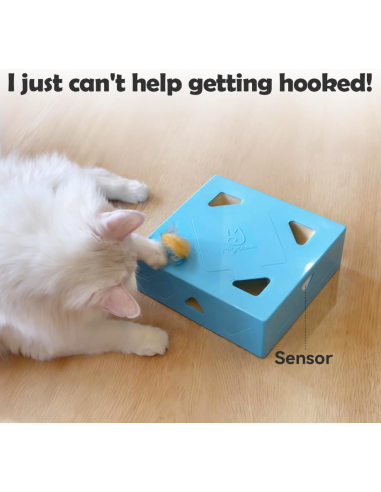 MigiPaws - Smart Box - Blau