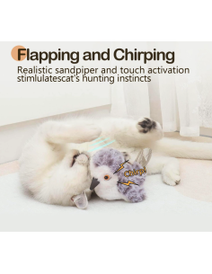 MigiPaws - Flapping Bird - Gris Foncé 2