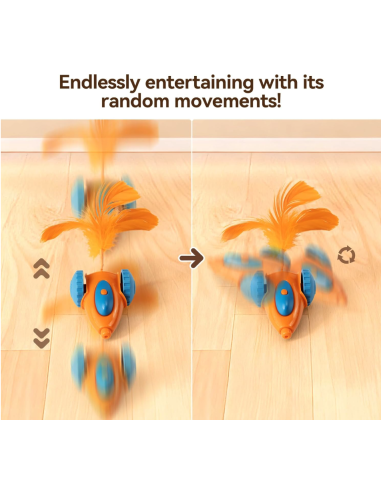 MigiPaws - Migi Car - Orange/Blue