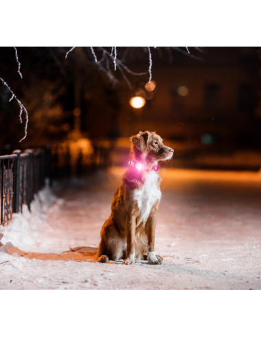Matrix 2.0 Ultra LED - Safety light -...