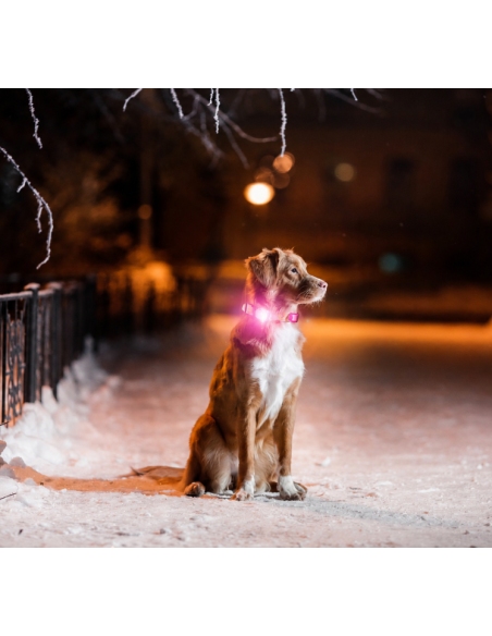 Matrix 2.0 Ultra LED - Safety light - Multi-Color (5-in-1)