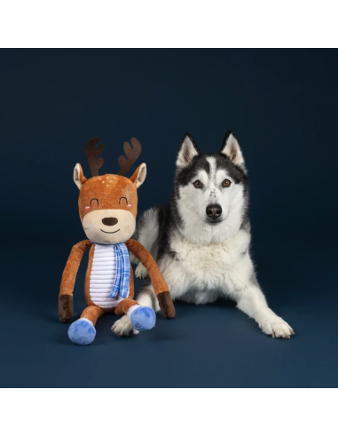 Dashin' Around Large Plush Dog Toy