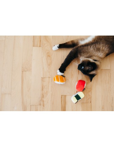 PLAY Feline Frenzy - Cat Toy - Sushi
