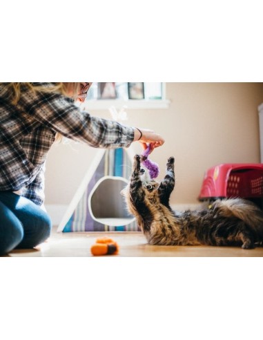 PLAY Feline Frenzy - Cat Toy - Worms