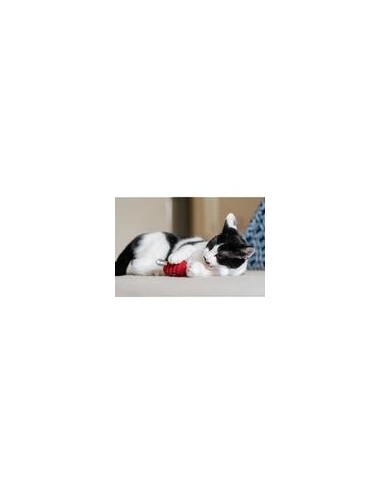 PLAY Feline Frenzy - Cat Toy - Twice as Mice