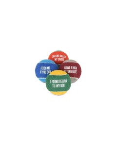 PLAY Dog Toy_Dog Tennis Ball (4pcs pack)_U 2