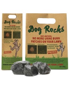 Dog Rocks