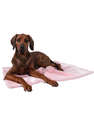 Coco puppydeken