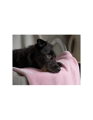 Coco puppydeken