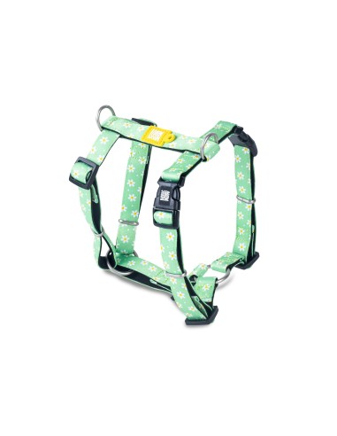 H-Harness - Margarite/L