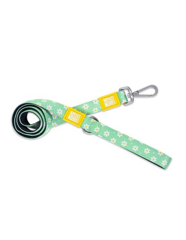 Short Leash - Margarite/L