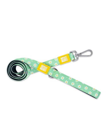 Margarite - Short Leash