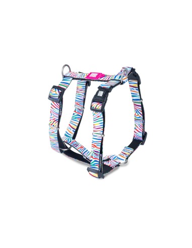 H-Harness - Magic Zebra/L