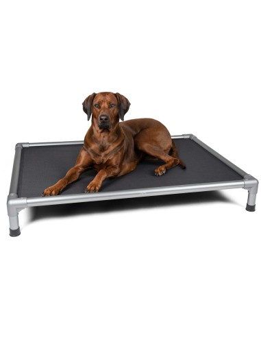 HighBed Hochbett für Hunde 105x80