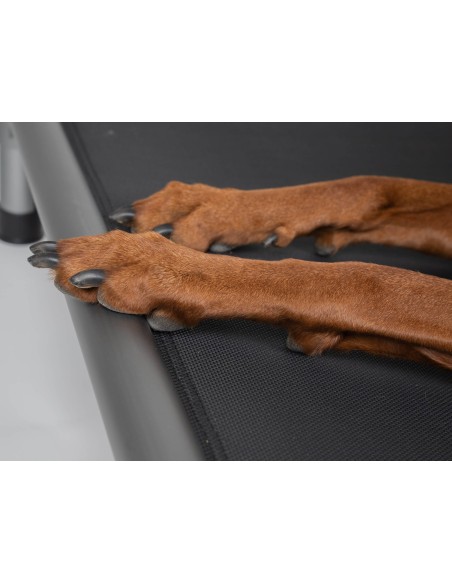 HighBed Hochbett für Hunde 105x80