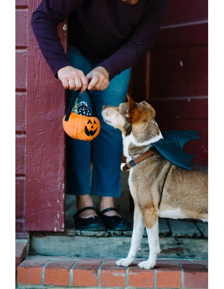 PLAY Halloween Pumpkin Basket - with 3 pcs of squeaker filled candies PLAY Holiday Toys collection
