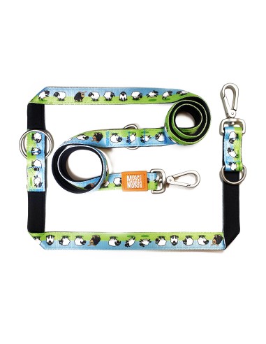 Multi-Function Leash - Black Sheep