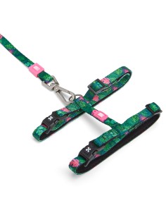 Cat Harness/Leash Set - Tropical/1 Size 2