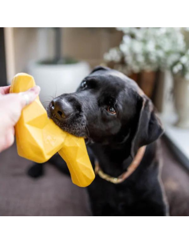 ZippyTuff+ Lightning Bolt - Dog Toy