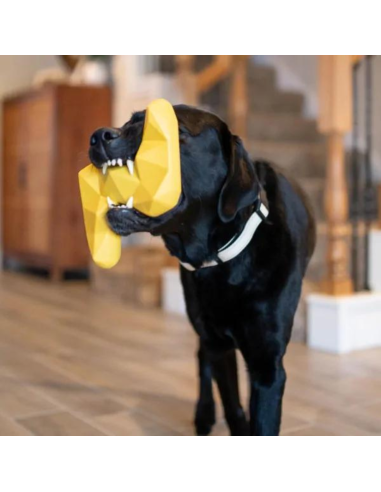 ZippyTuff+ Lightning Bolt - Dog Toy